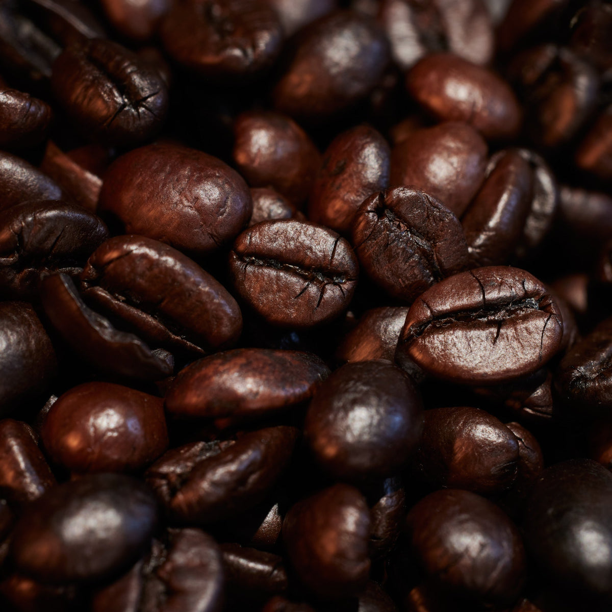 Oudgasm Café Oud | 19