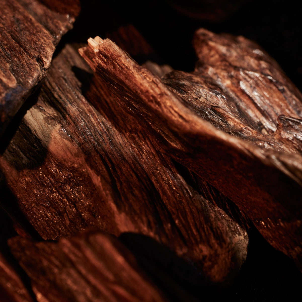 Oudgasm Vanilla Oud | 36