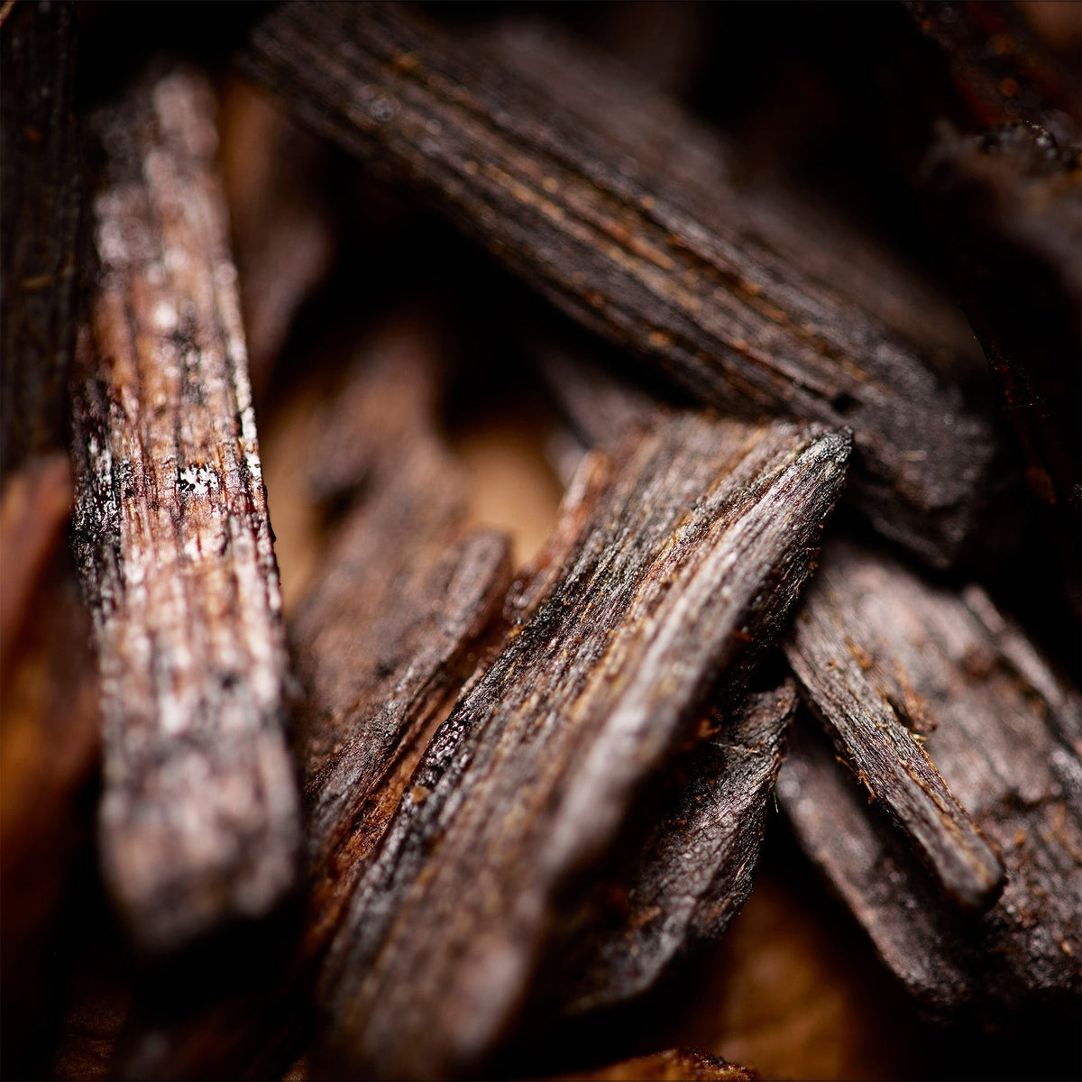 Oudgasm Chocolate Oud | 11